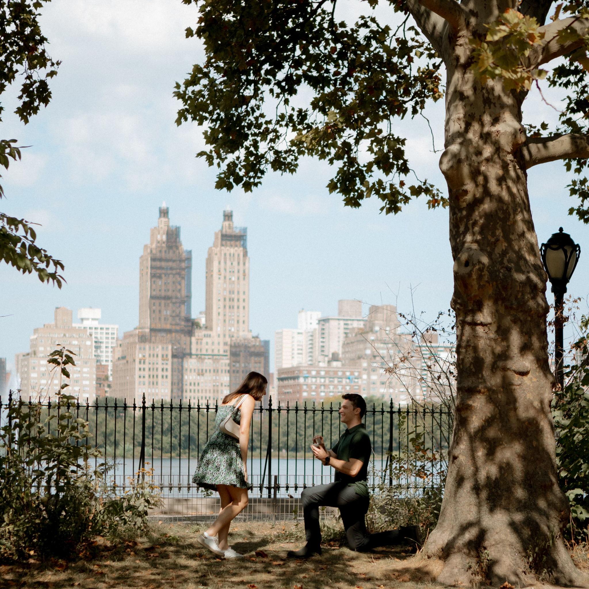 Our central park engagement