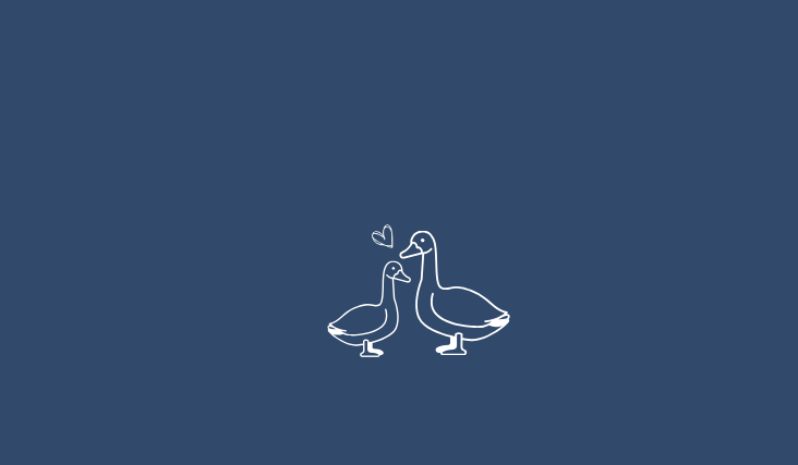 Footer image