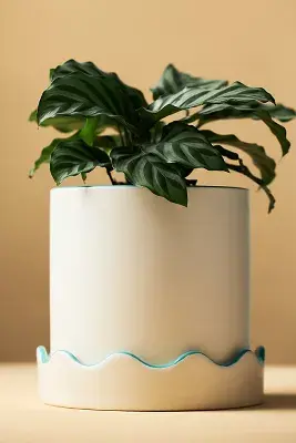 Pissaro Scalloped Ceramic Pot