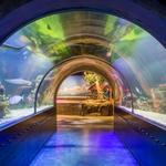 Shreveport Aquarium