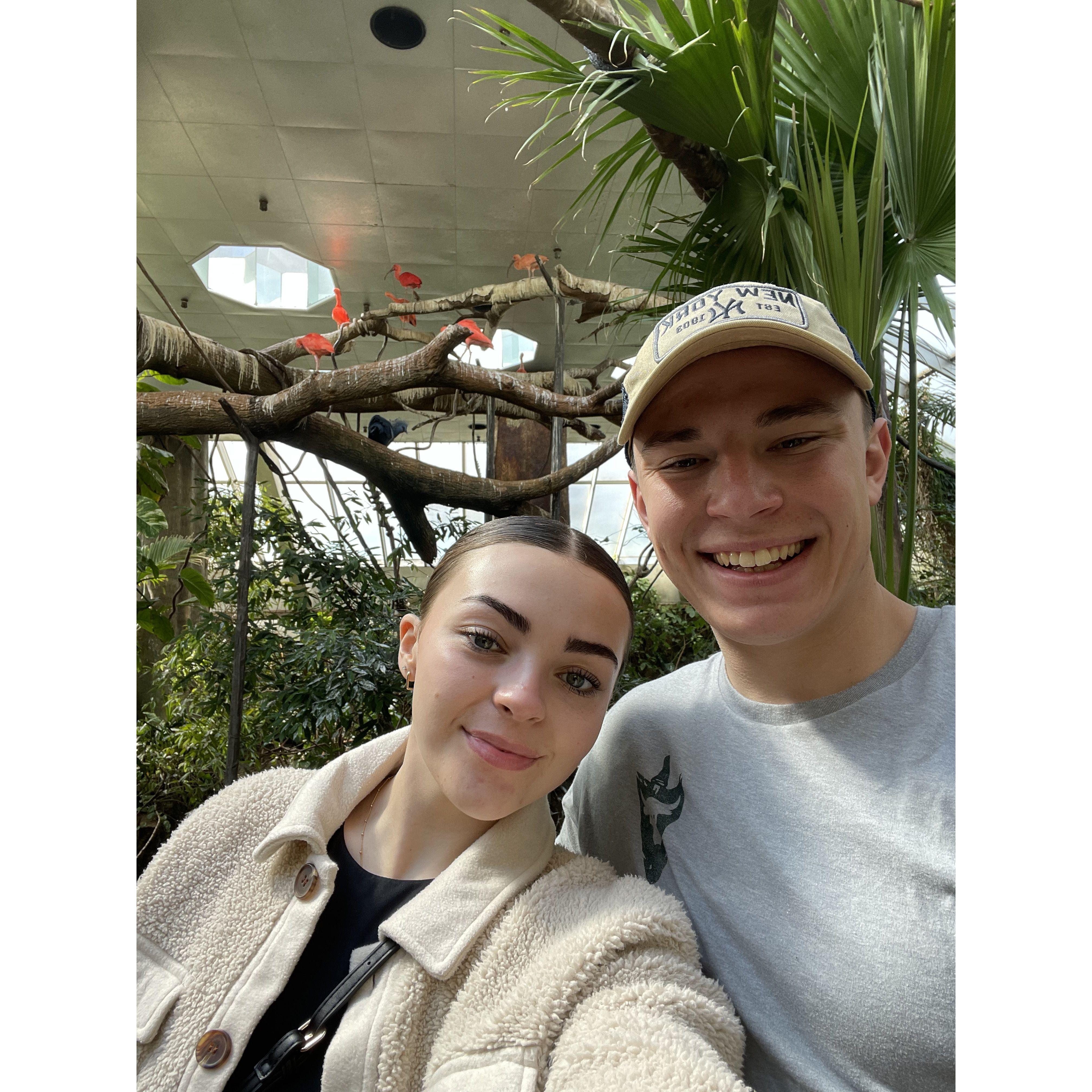 Central Park zoo