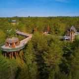 The Wild Center