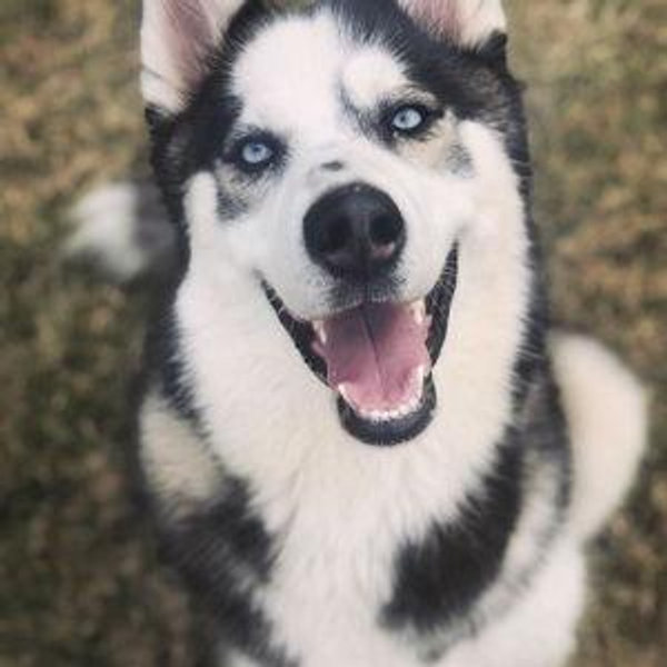 Blu's Vacation Fund
