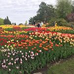 Minnesota Landscape Arboretum