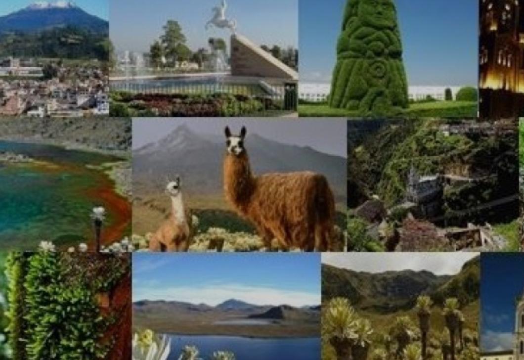 The Wedding Website of Patricio Romero and Carol Reina