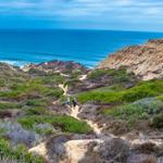 Torrey Pines State Reserve