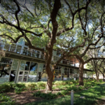 The Grove (restaurant)