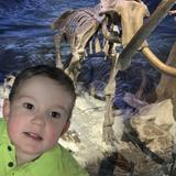 Royal Tyrrell Museum