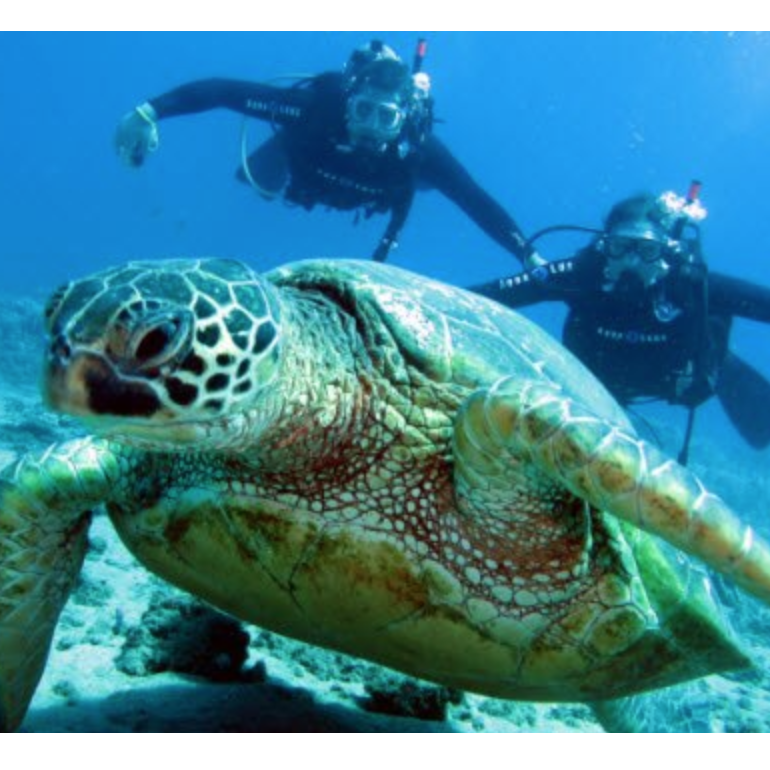 Learning to scuba dive in Hawaii 2012