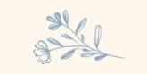 The Wedding Website of Leah Hays and Michael Pearlman