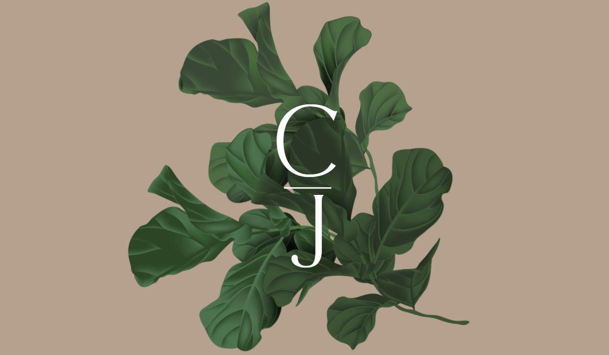 Footer image