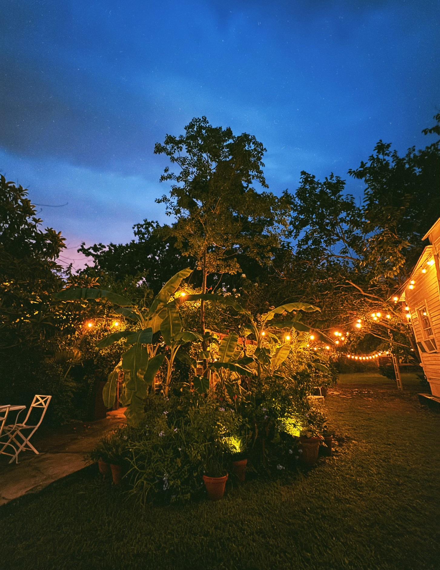 The Wedding Website of Marigny Thompson and Michael DeTogni