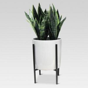 Artificial Plant in Stand Large - Project 62™