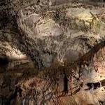 Penn's Cave & Wildlife Park