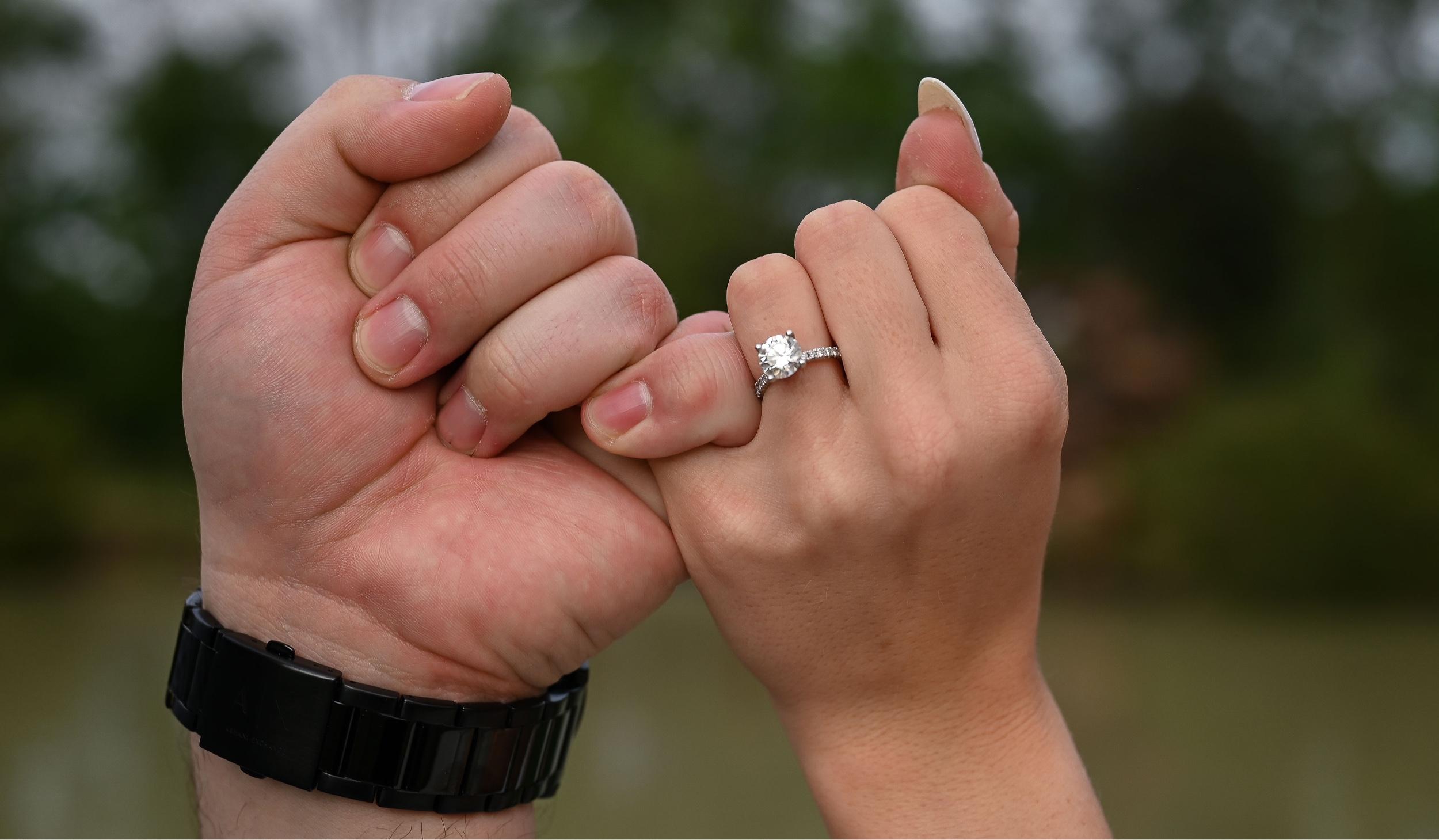 The Wedding Website of Stephanie Blanchette and William Farnie