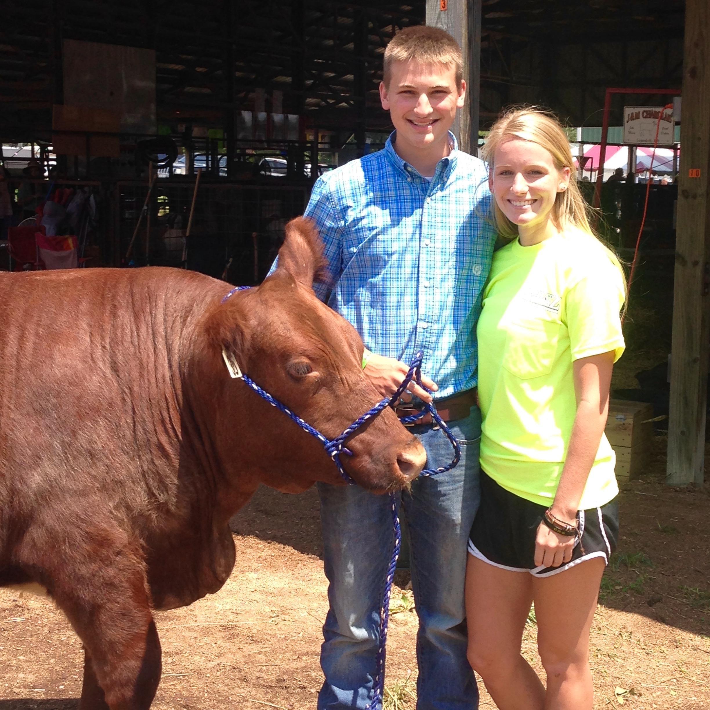 County fairs and livestock shows!