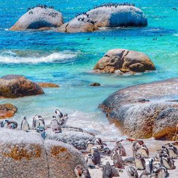 Excursions in Cape Town