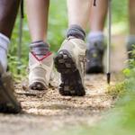 Walking Trails