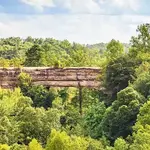 Natural Bridge State Resort Park