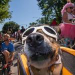 Tour De Fat