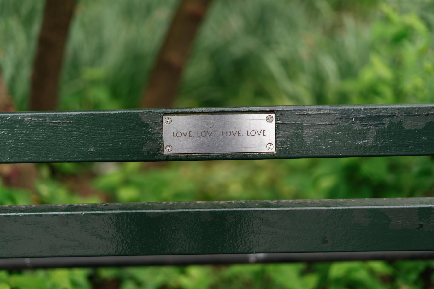 The Wedding Website of Olivia Seward and Tyler Zozos