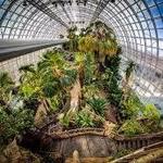 Myriad Botanical Gardens