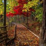 Avalon Park And Preserve