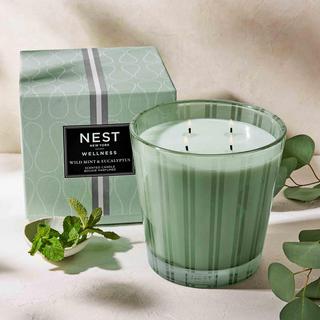 Wellness Wild Mint & Eucalyptus 4-Wick Luxury Candle