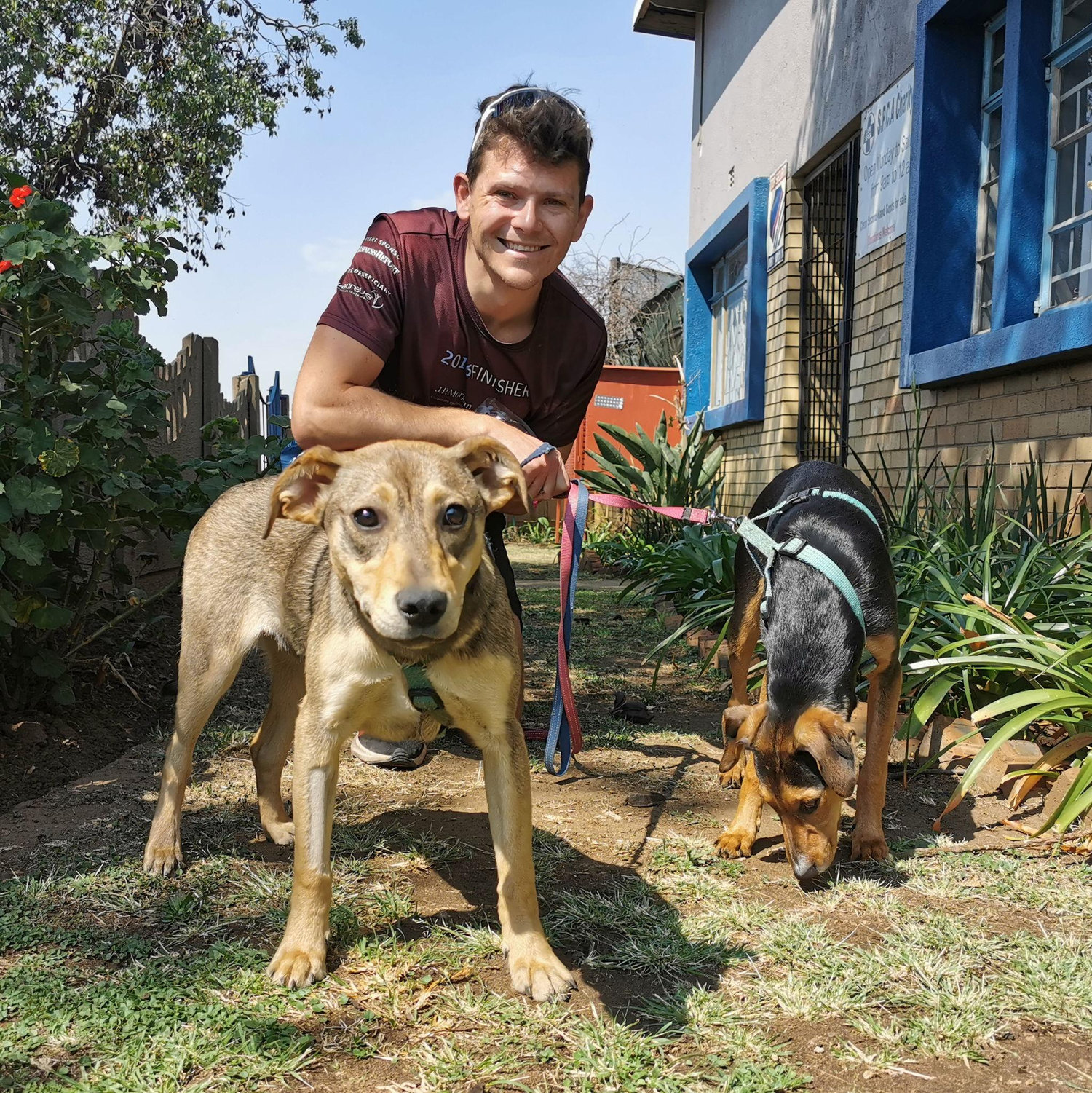 September 2021 | Germiston | Adopting Peppa, furbaby number 4.