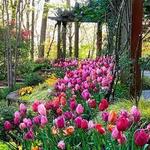 Gibbs Gardens