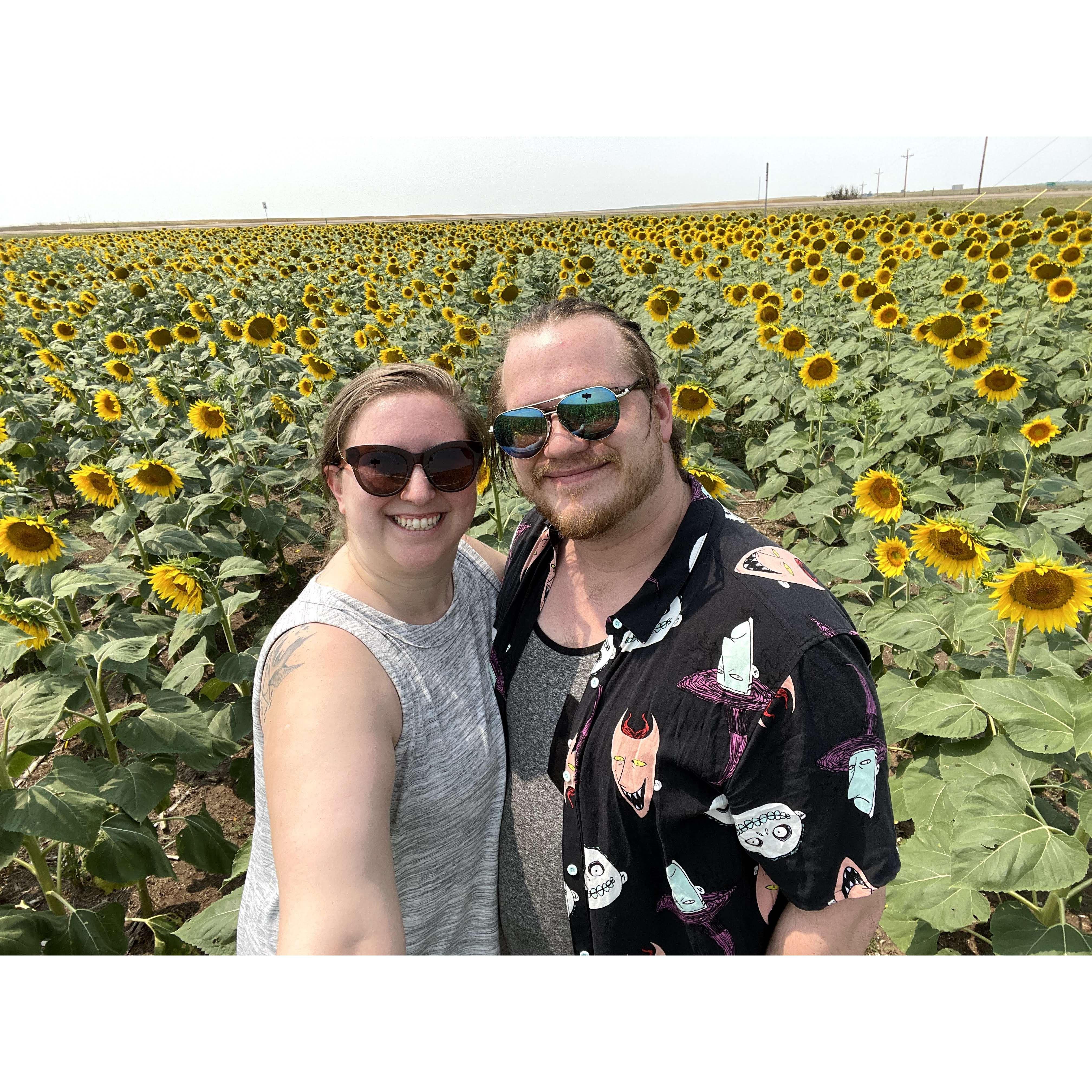 Stopped for some pictures in this sunflower field in South Dakota!