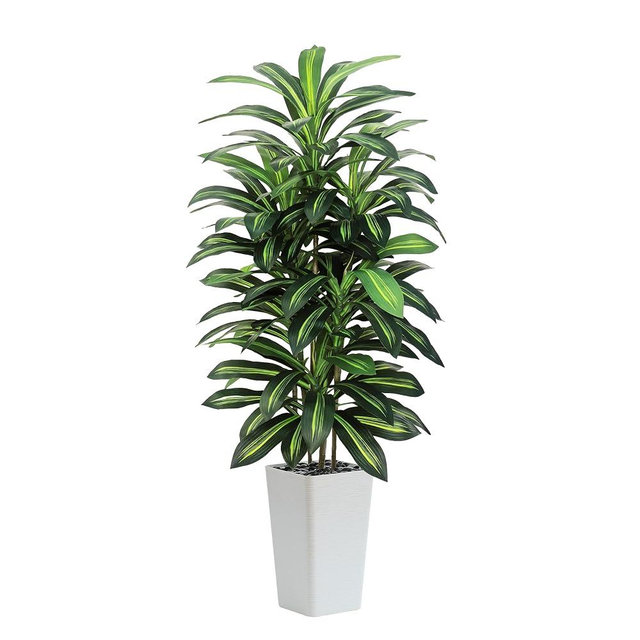 Artificial Dracaena Tree Indoor, 6FT Tall Fake Floor Plants with White Planter & Pebbles, Faux Silk Yucca Tree for Home Office Living Room Bedroom Farmhouse Modern Outdoor Topiary Tree
