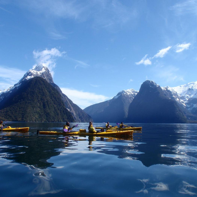 Kayak Milford Sound