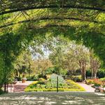 San Antonio Botanical Garden
