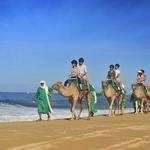 Camel rides
Cabo Fun Tours