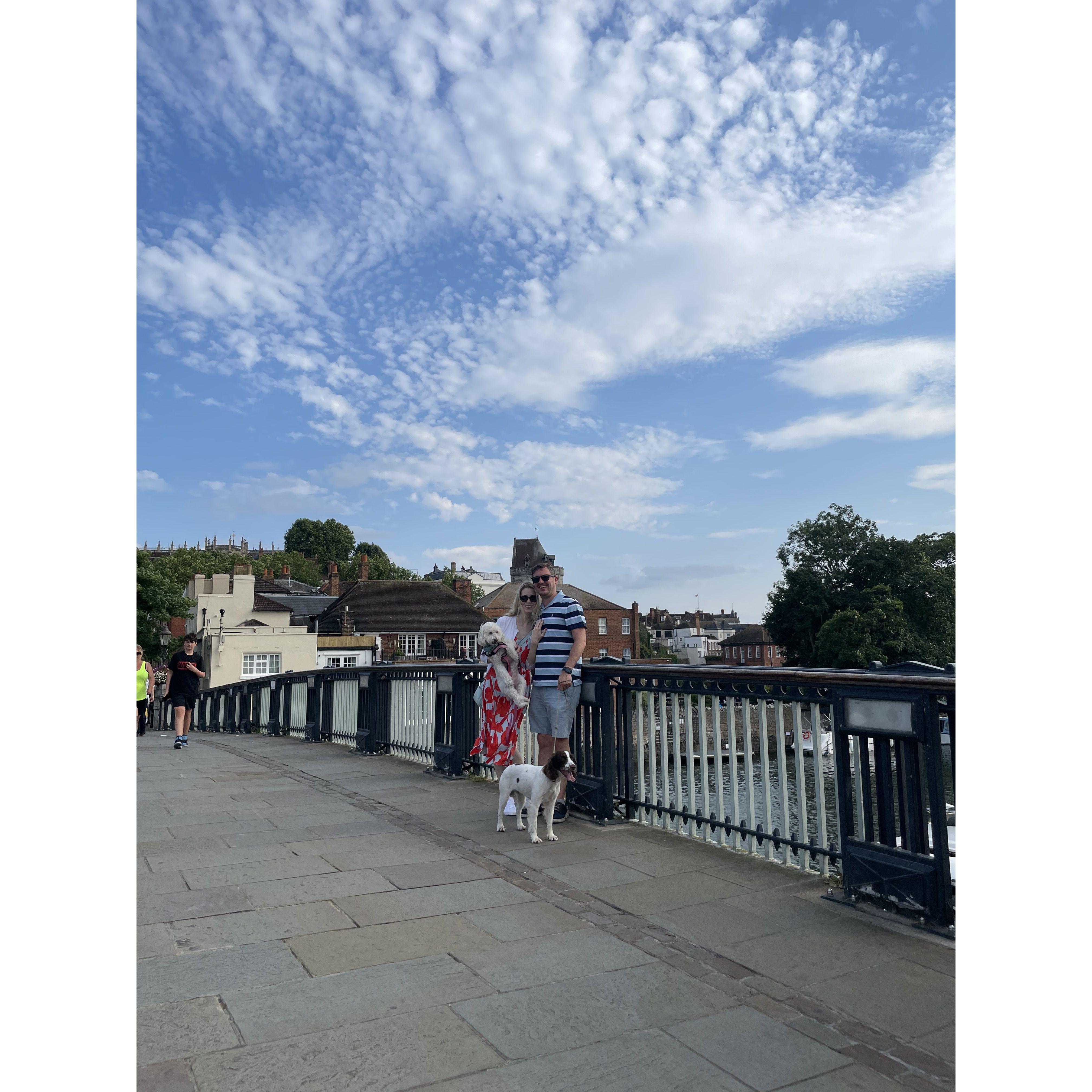 The dogs have been with us to tour Windsor and will be involved in our wedding celebrations.