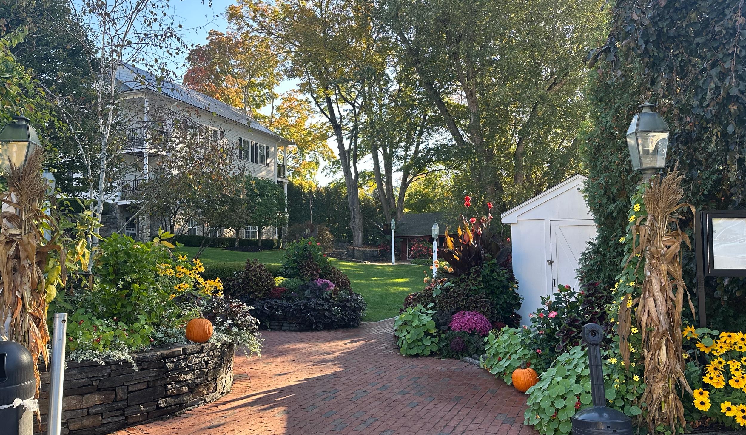 The Wedding Website of Elizabeth Lizotte and Patrick Kearney