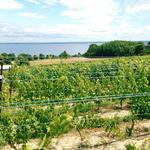 Old Mission Peninsula