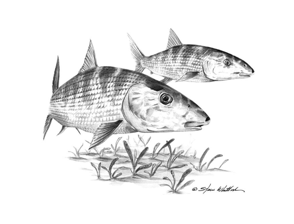 The Wedding Website of Natalie Alfonso and Joey Cabrera