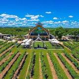 Augusta Vin