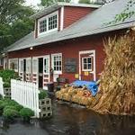 Adrian Orchards