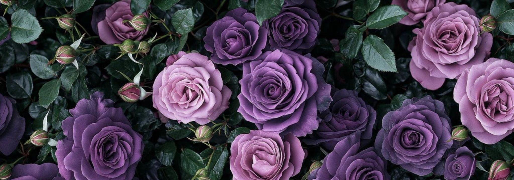 The Wedding Website of Fatima Lopez Barrios and Kameron Pryor