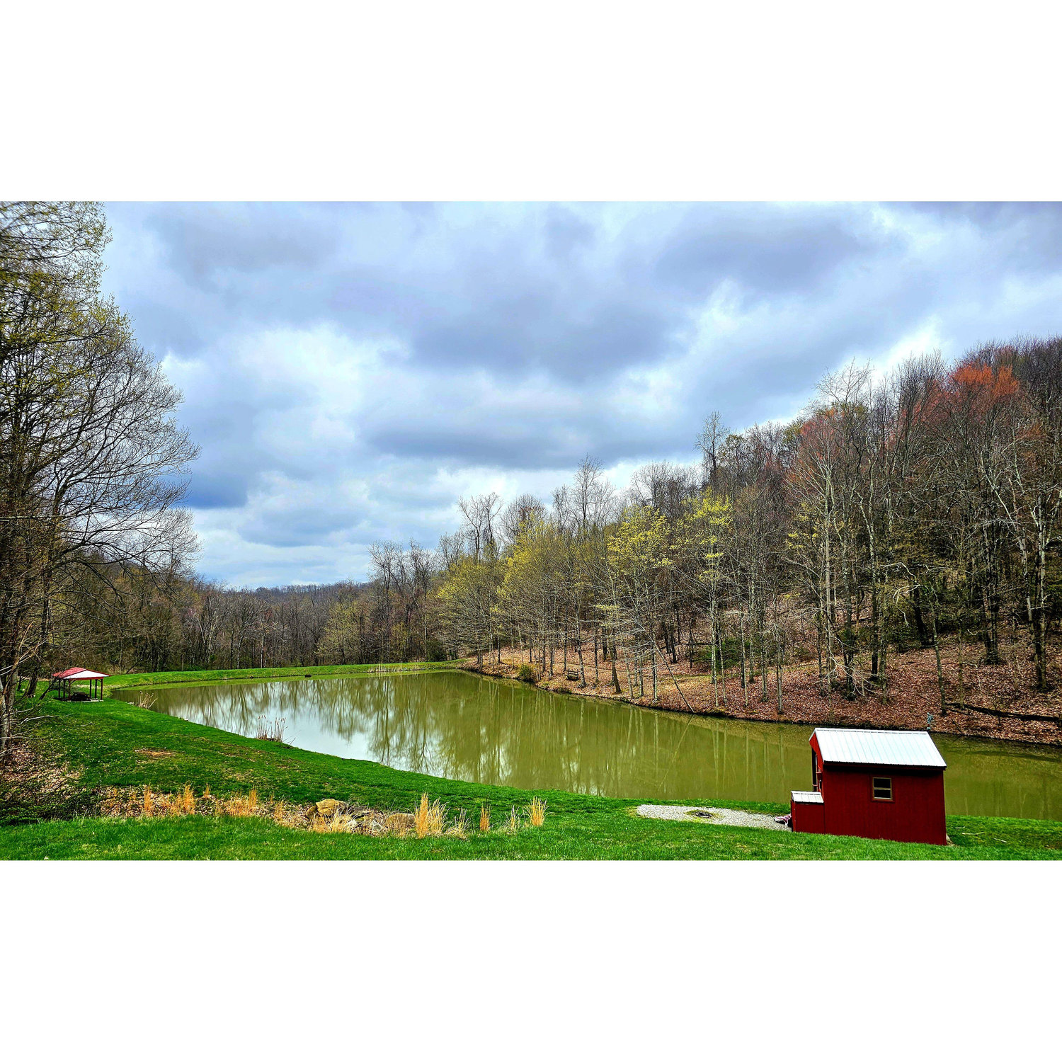 The pond at the farm