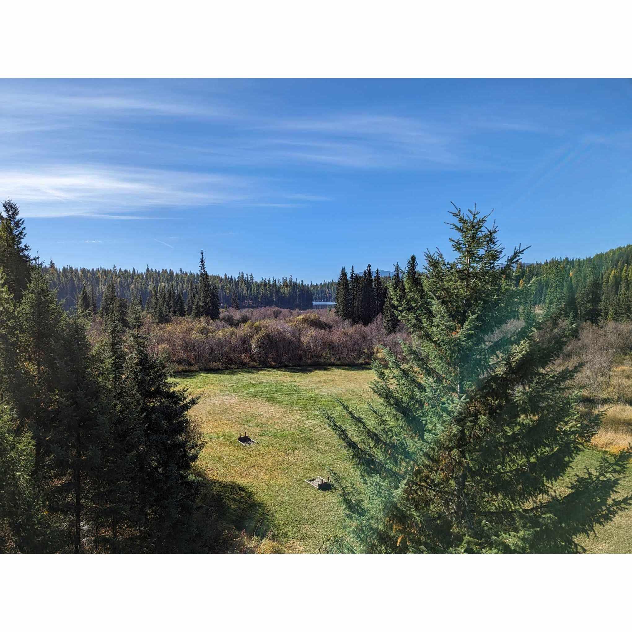 The view of the meadow out back for our ceremony.