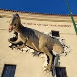 Arizona Museum of Natural History