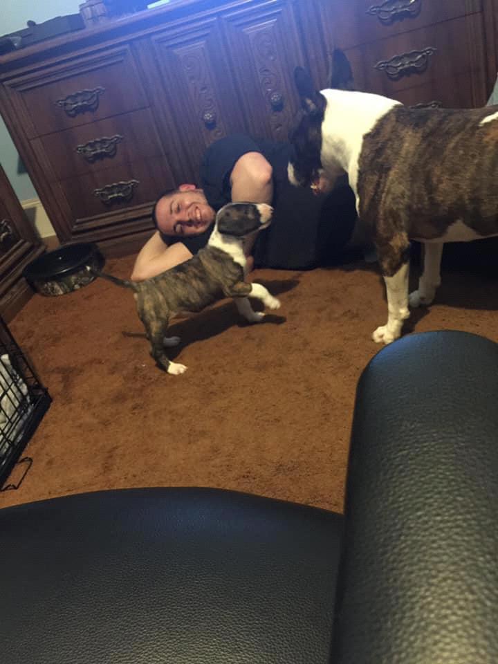 Opie and Mia hanging out with dad 🙂