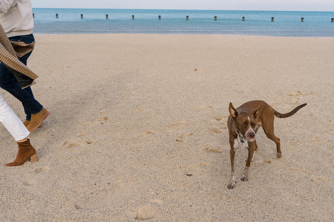 The Wedding Website of Ellen Dunn and Hank Bobillo