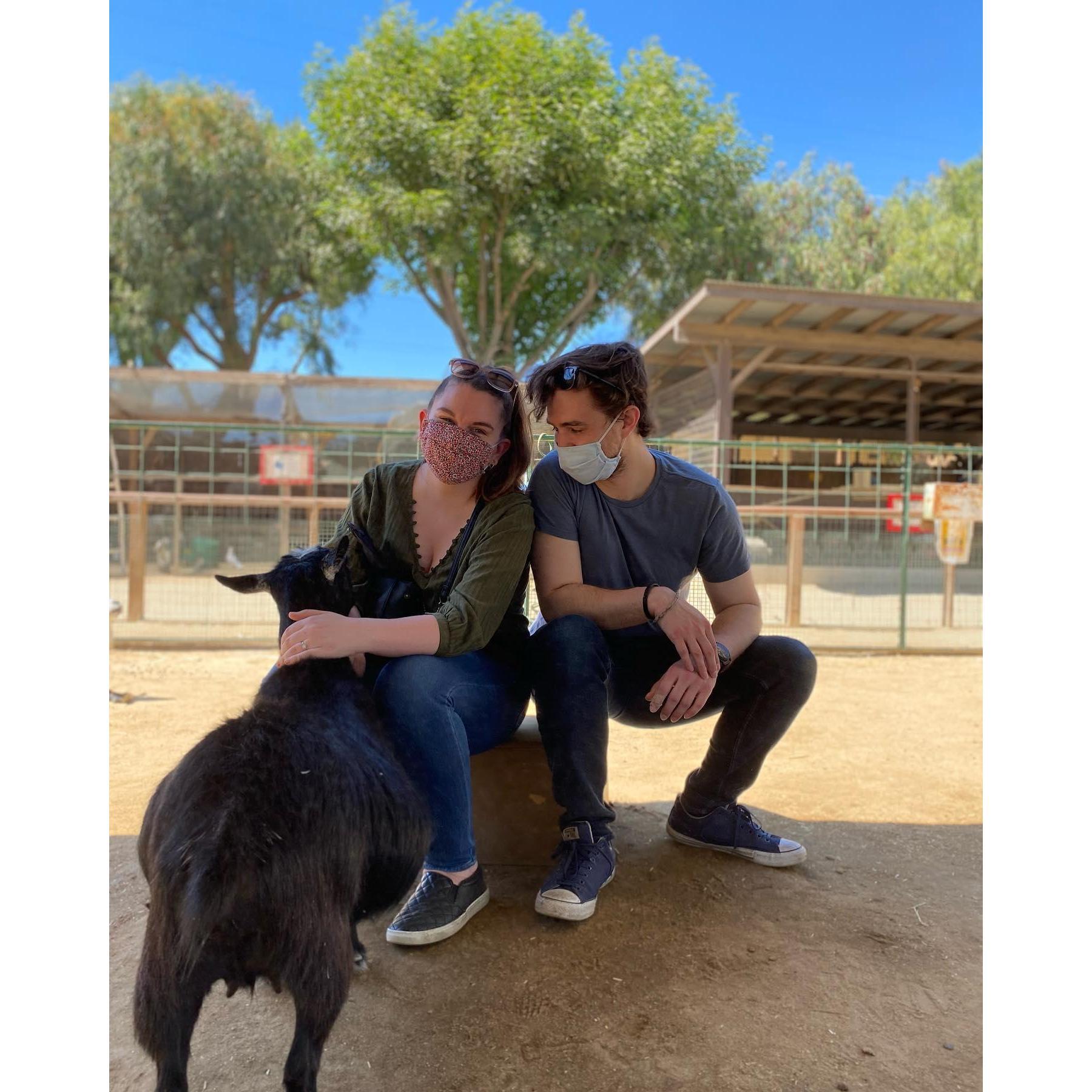 Our goat child at Underwood Family Farms.