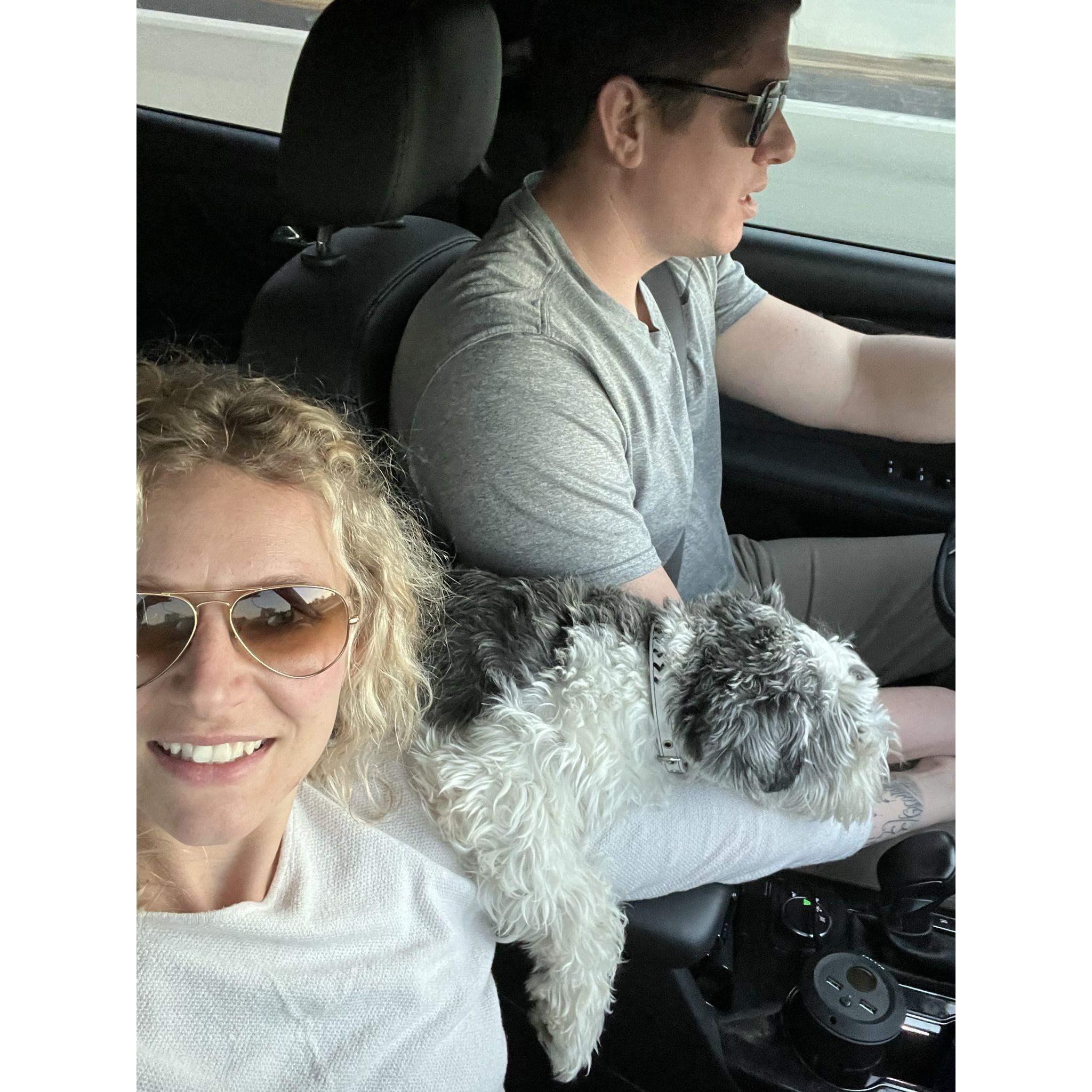 Our first, of many, road trips together. Heading to meet Sarah's family for Thanksgiving