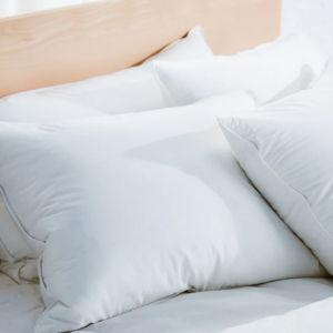 Down Pillow - Standard, Soft, Two-Pack